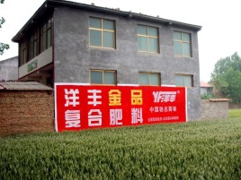 遂昌如何让墙体广告展现最大化效果