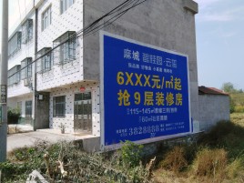 遂昌墙体广告质量分析