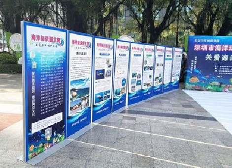 遂昌KT板的种类和知识。